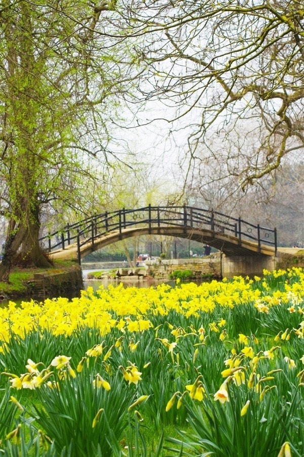 Spring in Oxford