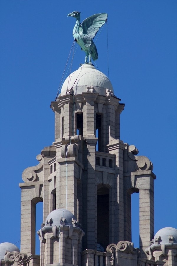 liver bird liverpool