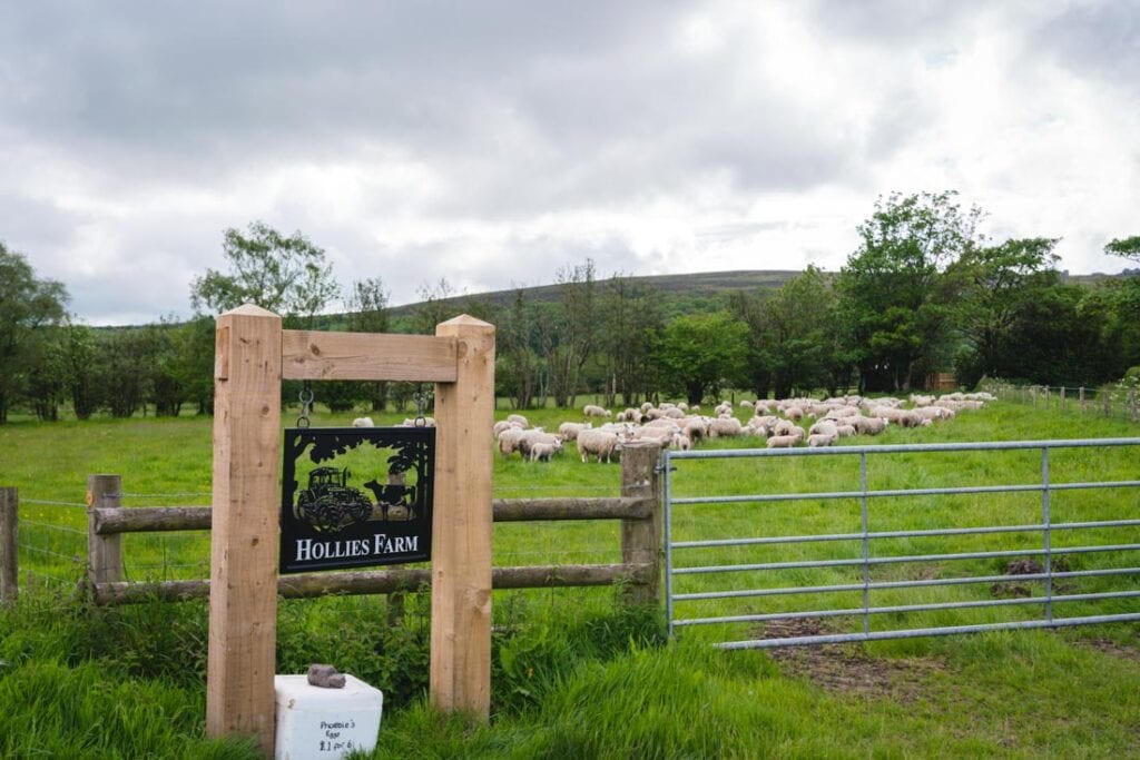 mollies farm shropshire