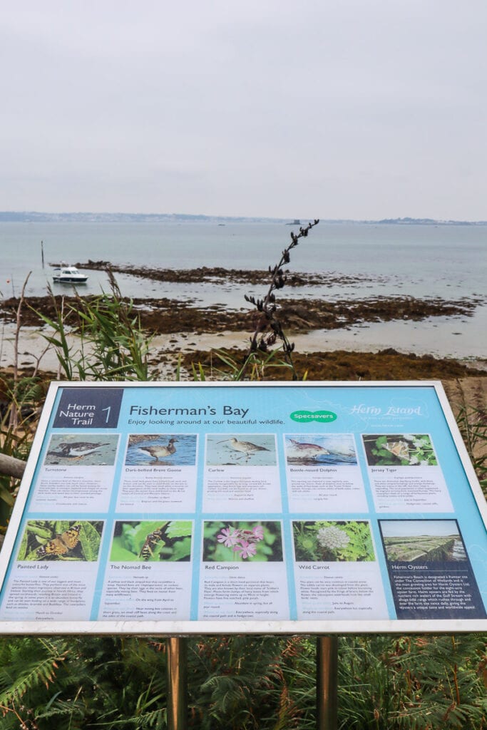 Wildlife sign in Herm