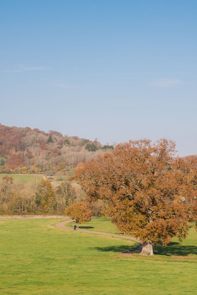 Look at those autumn colours