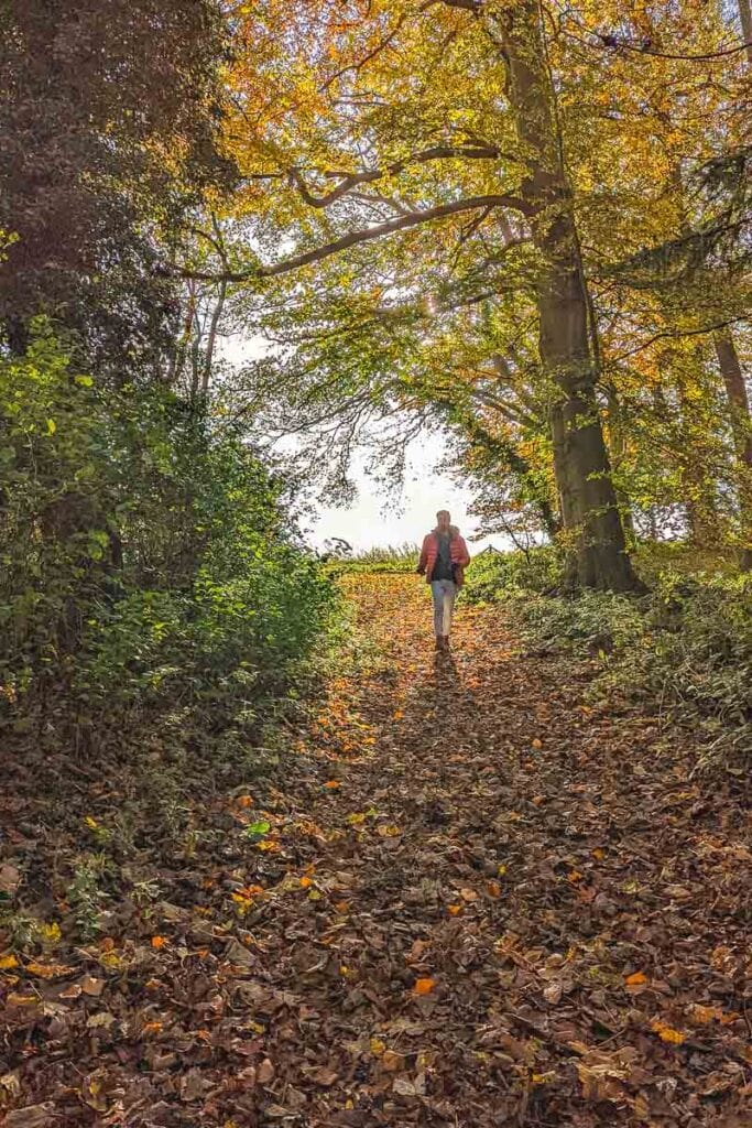 Woodland walks around Henley