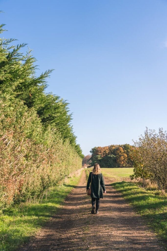 Make sure you take the path with the trees on your left