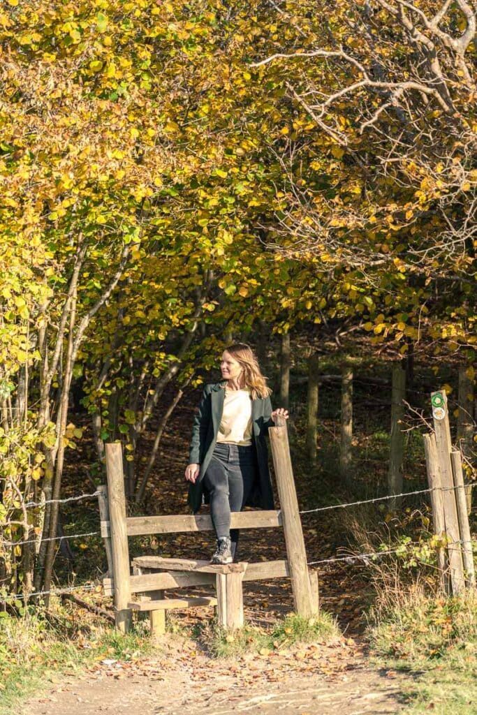 Crossing the wooden stile into the woodland