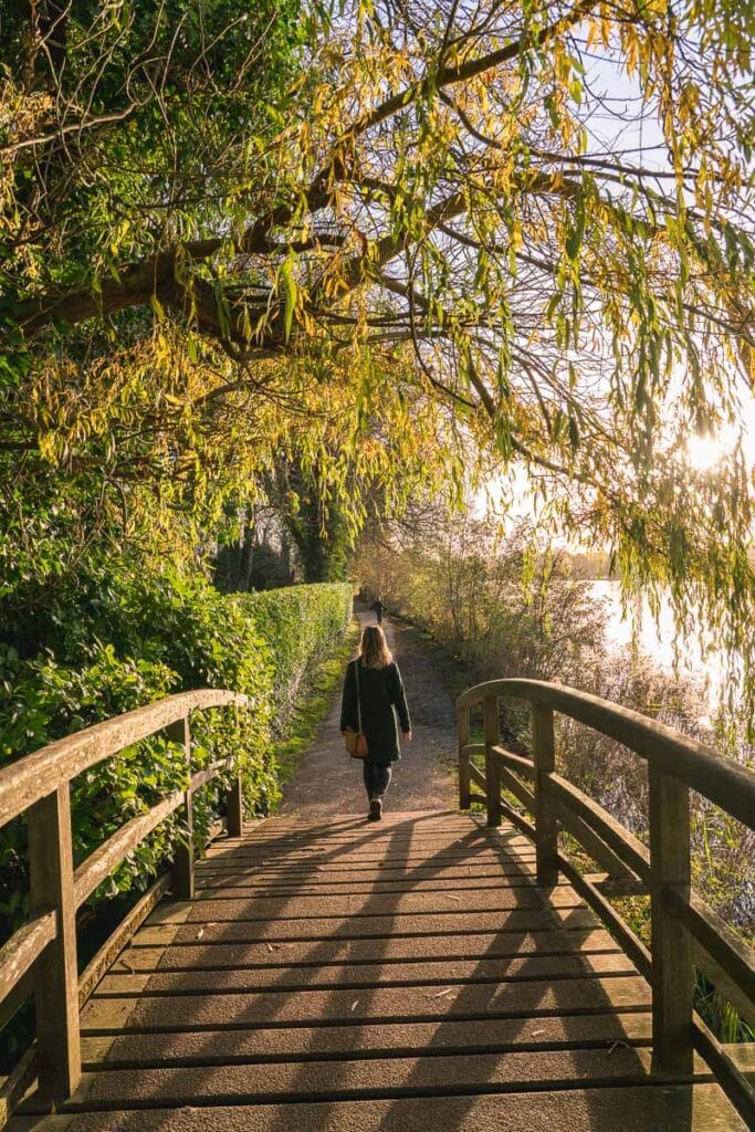 Wooden bridge near Henley