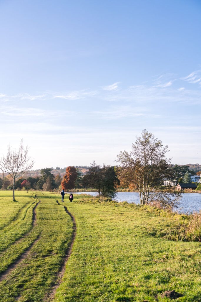 Serene river walk back to Henley