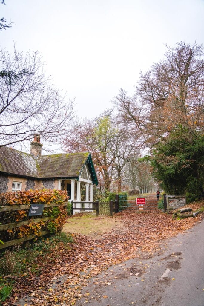 bagden lodge surrey