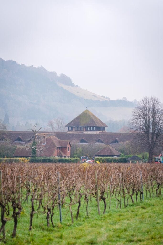 denbies wine estate