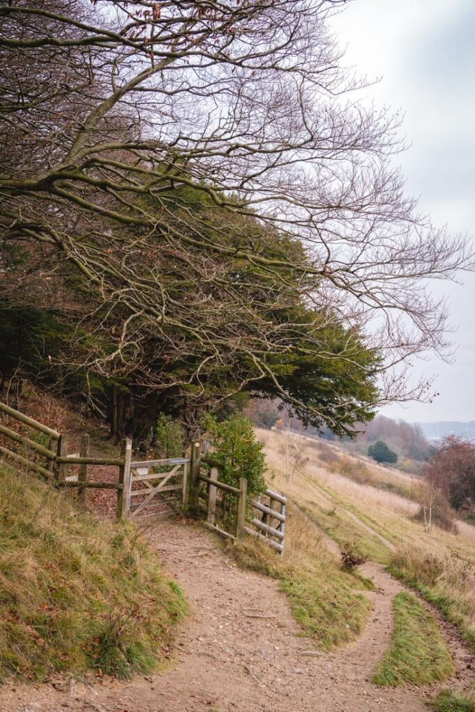 gate to surrey hills