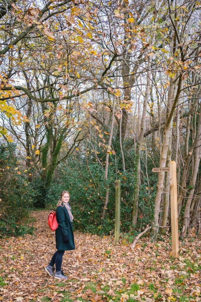 public bridleway surrey