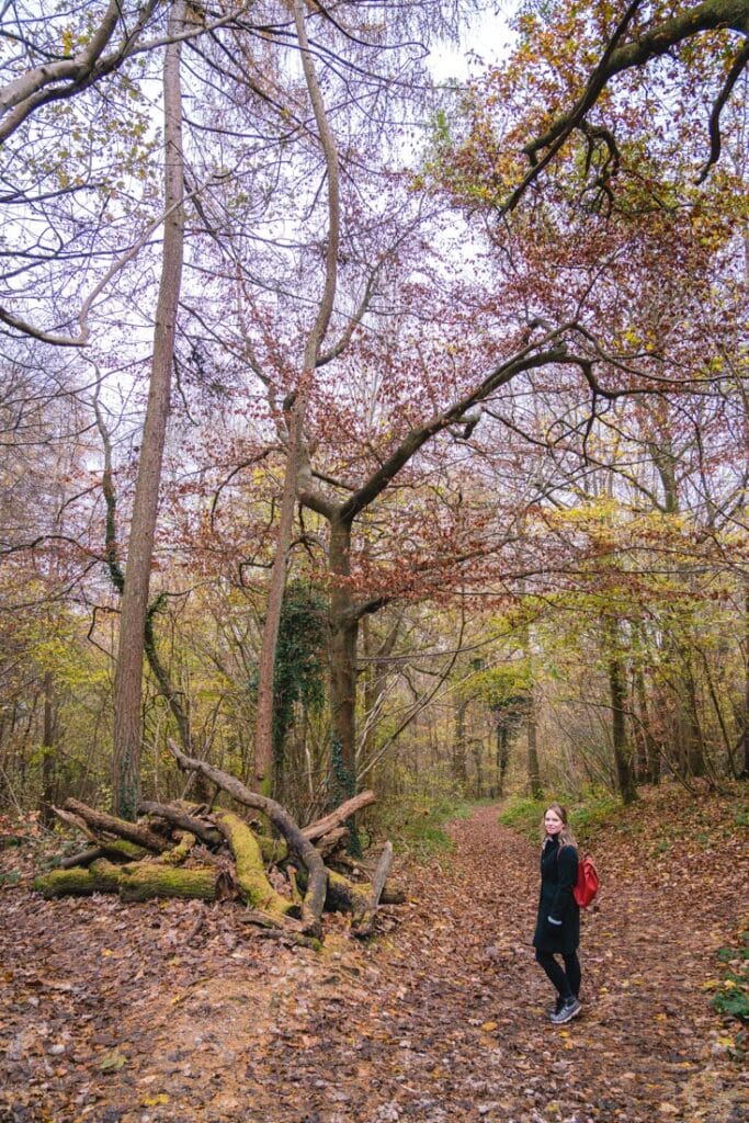 walking to denbies