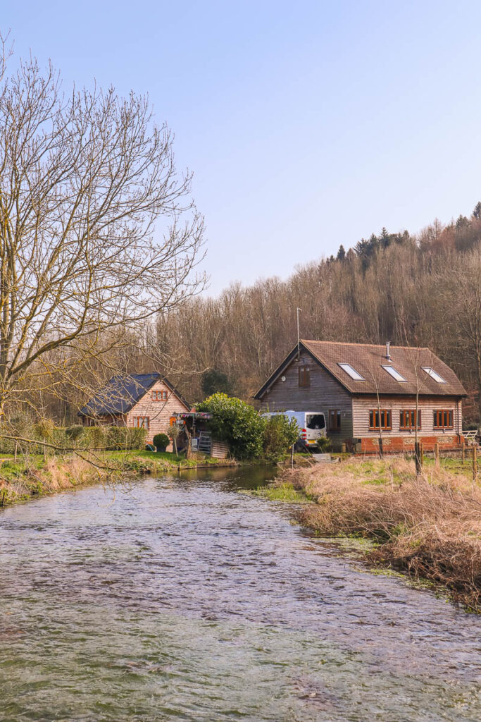 The watercress stream on the circular walk