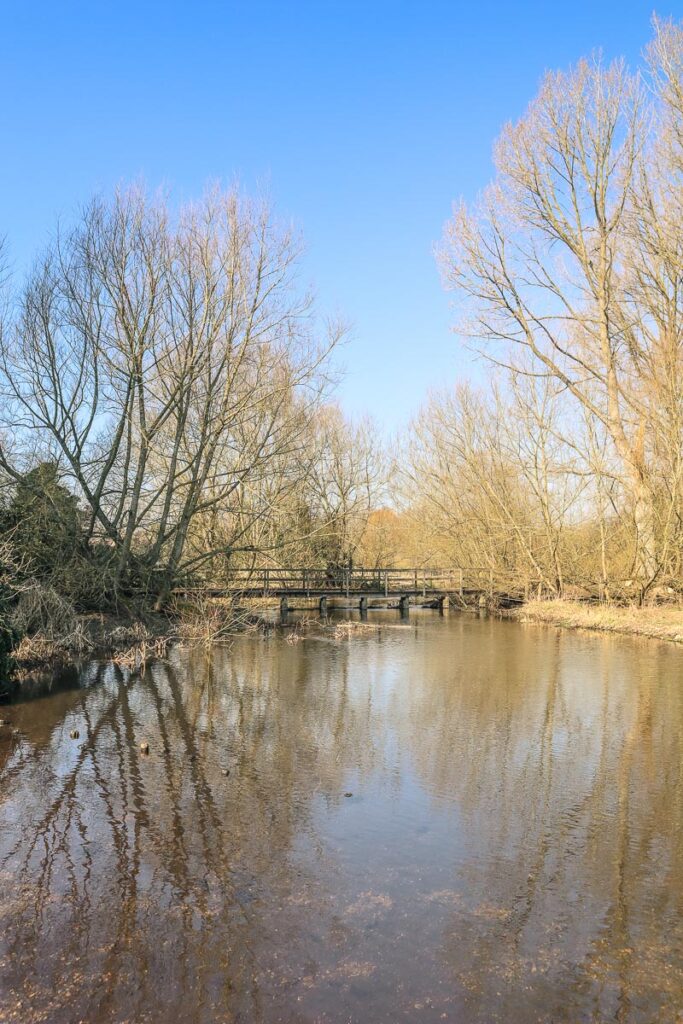 The pond near the start of the Chorleywood walk