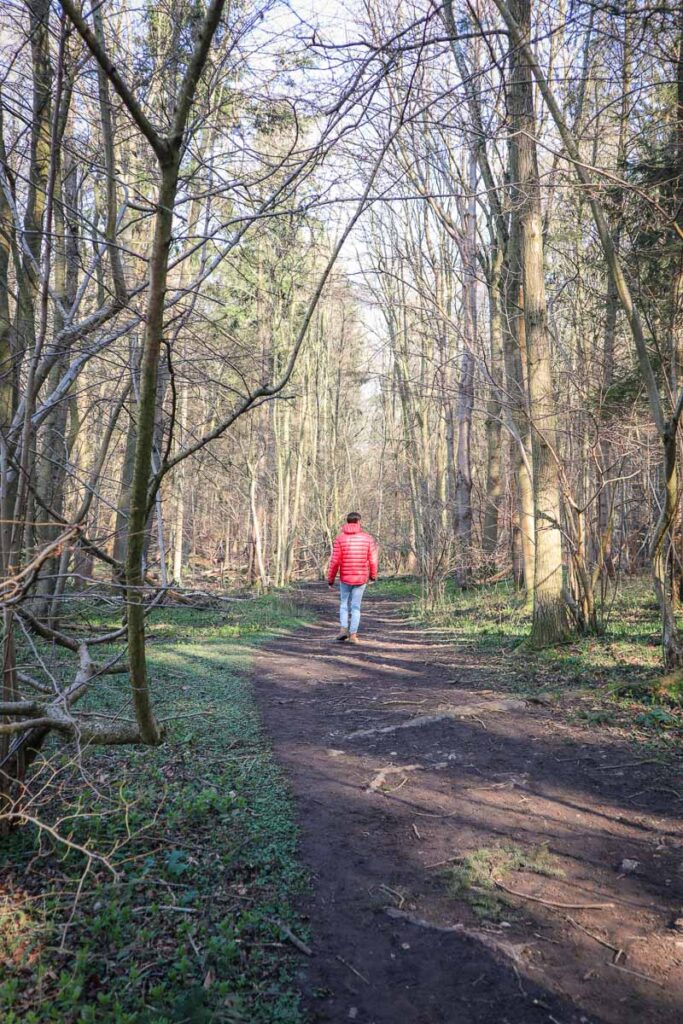 Passing through the woodland section