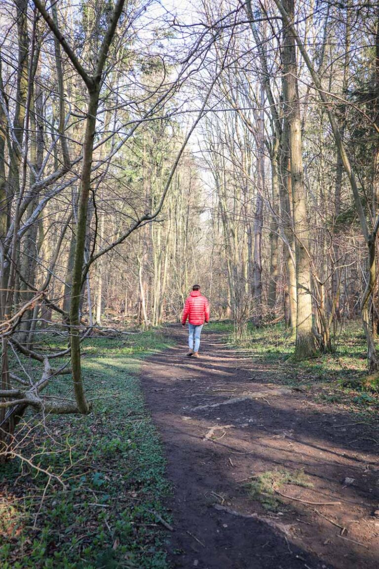 A Detailed Guide To The Chorleywood Circular Walk (2023 Guide)