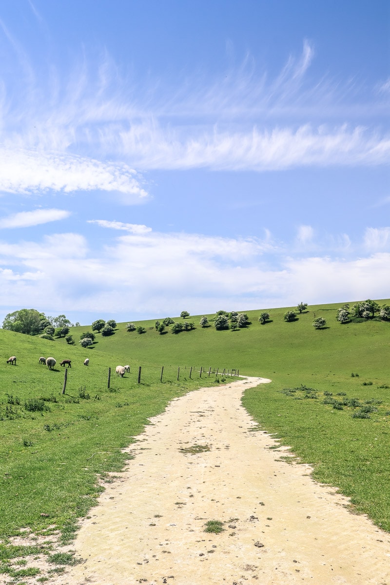 Lovely country views in the South Downs