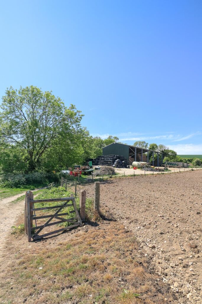 Looking back at the farm