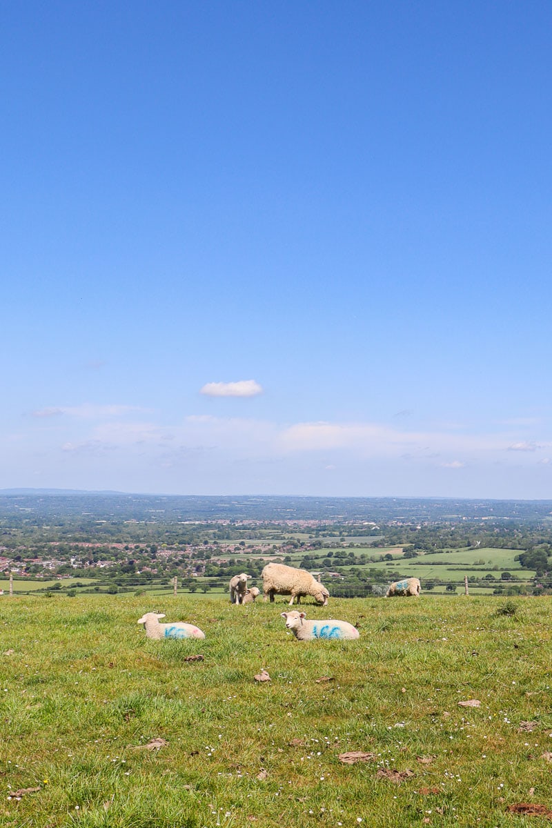 What a perfect English country view