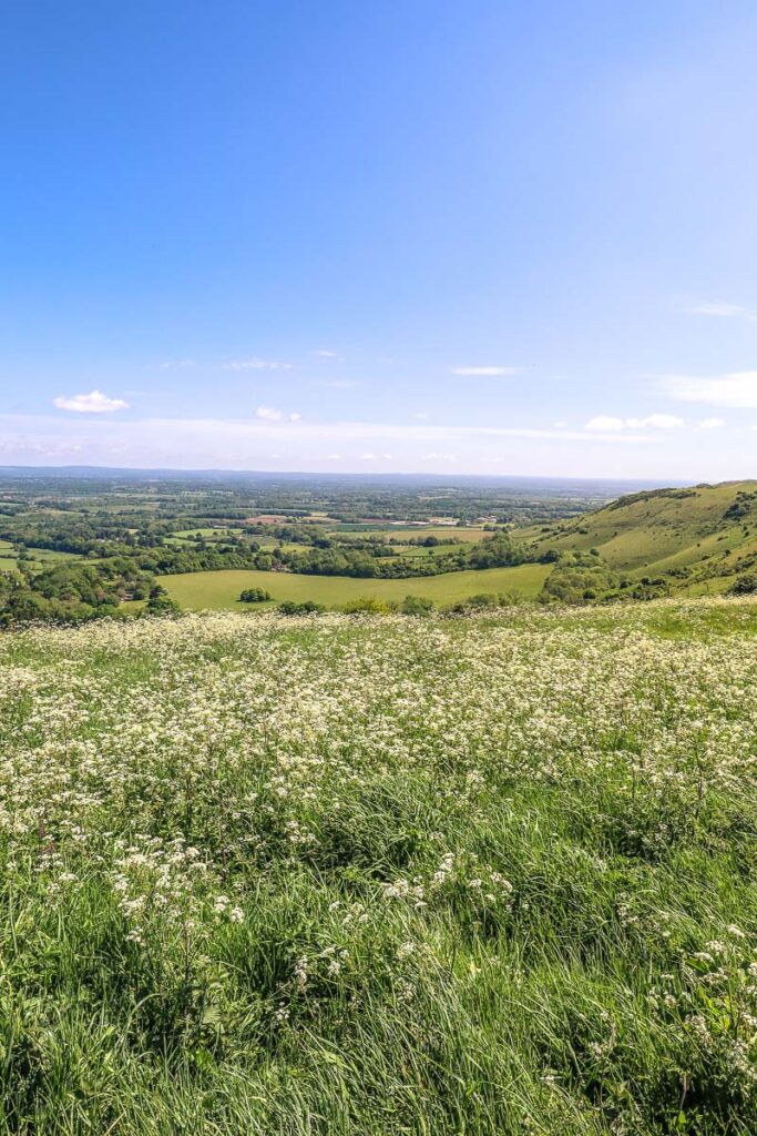 Pretty views from the top of Ditchling Beacon