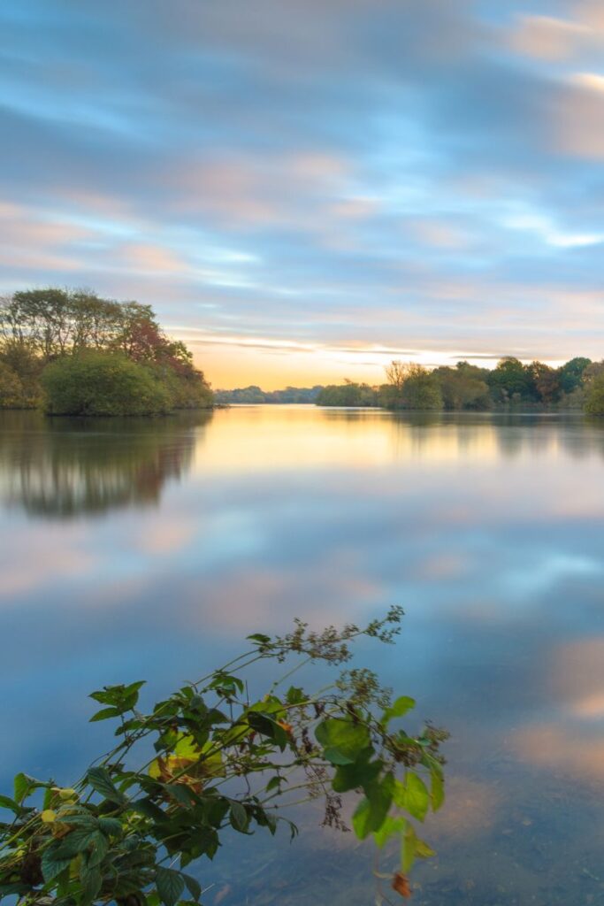 Attenborough Nature Reserve