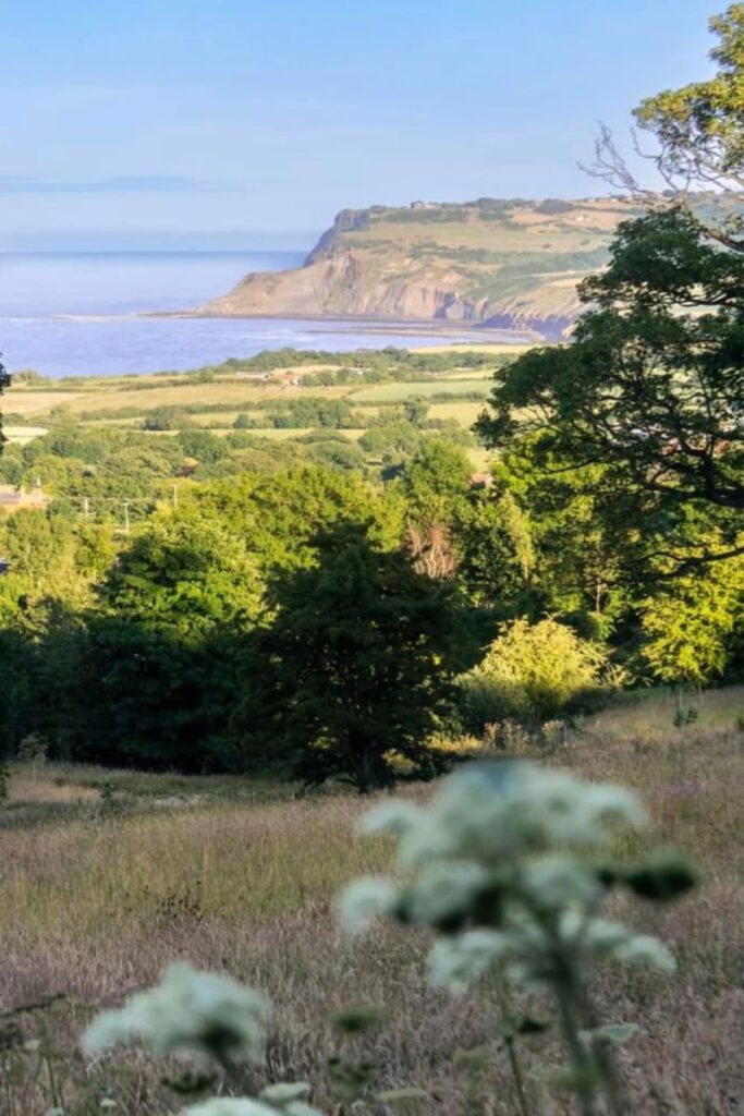 robin hood bay