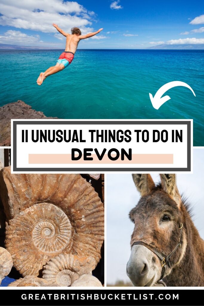 11 unusual things to do in devon