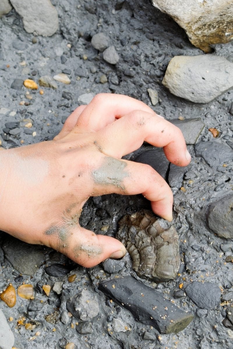 Fossil hunting is one of the most unusual things to do in Devon