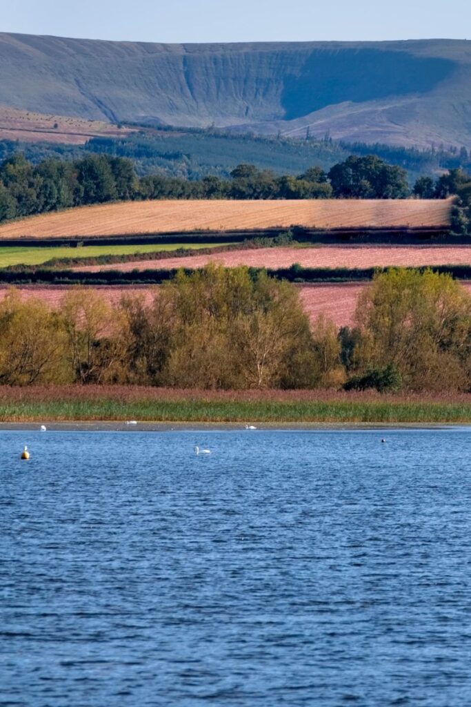 Llangorse Lake