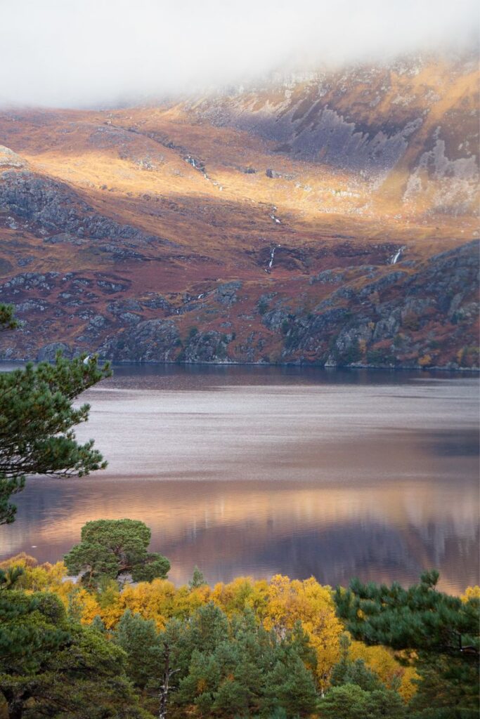 Loch Maree