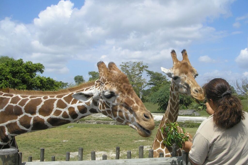 best zoos in the uk