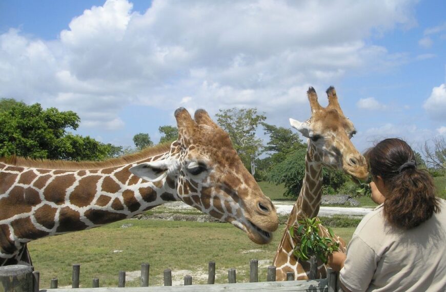 best zoos in the uk