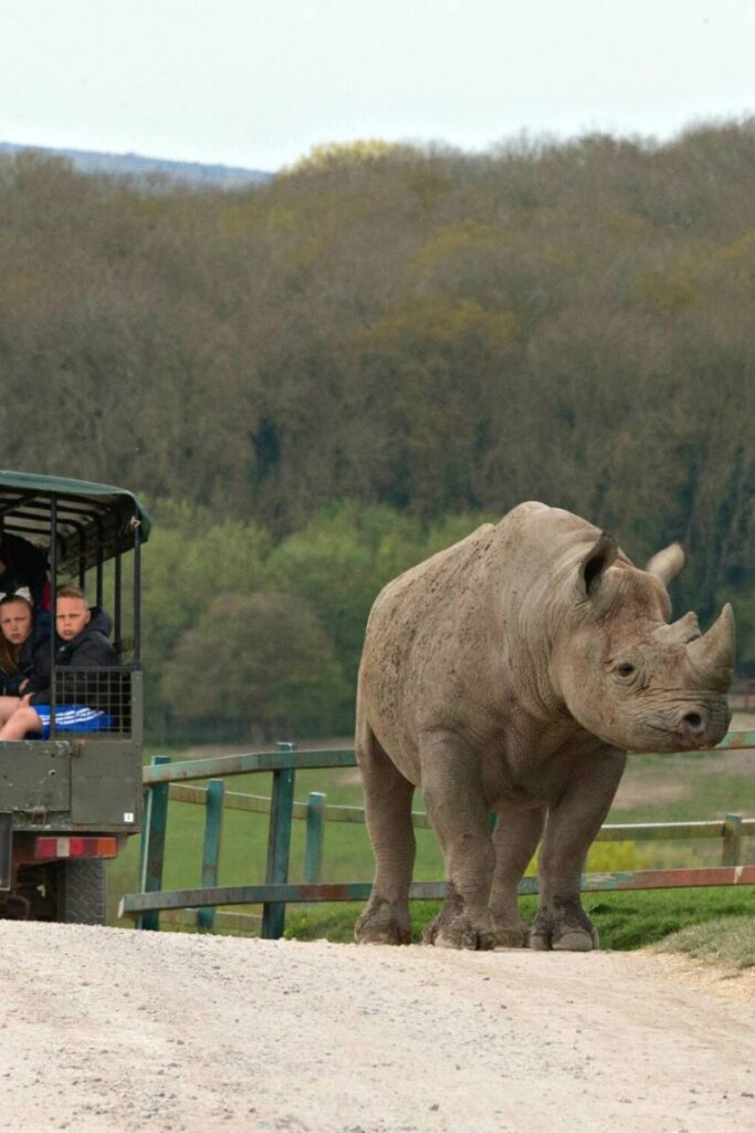 biggest zoo in uk