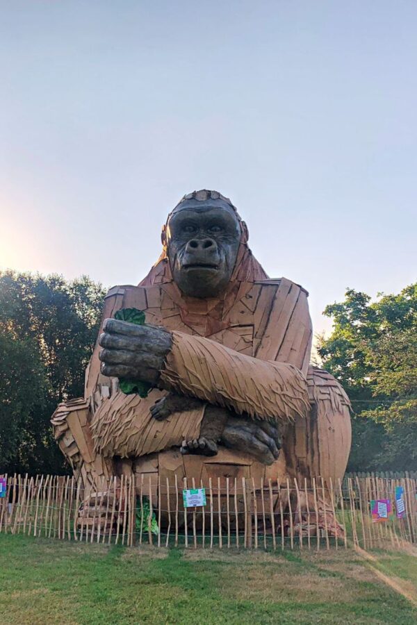 14 BEST Zoos in the UK (2023 Guide)