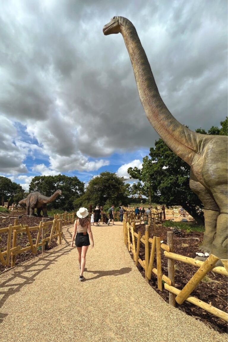 14 BEST Zoos in the UK (2023 Guide)