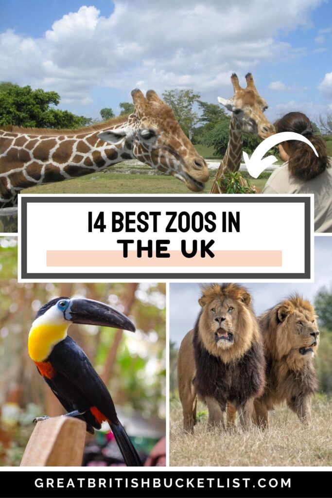 14 BEST Zoos in the UK
