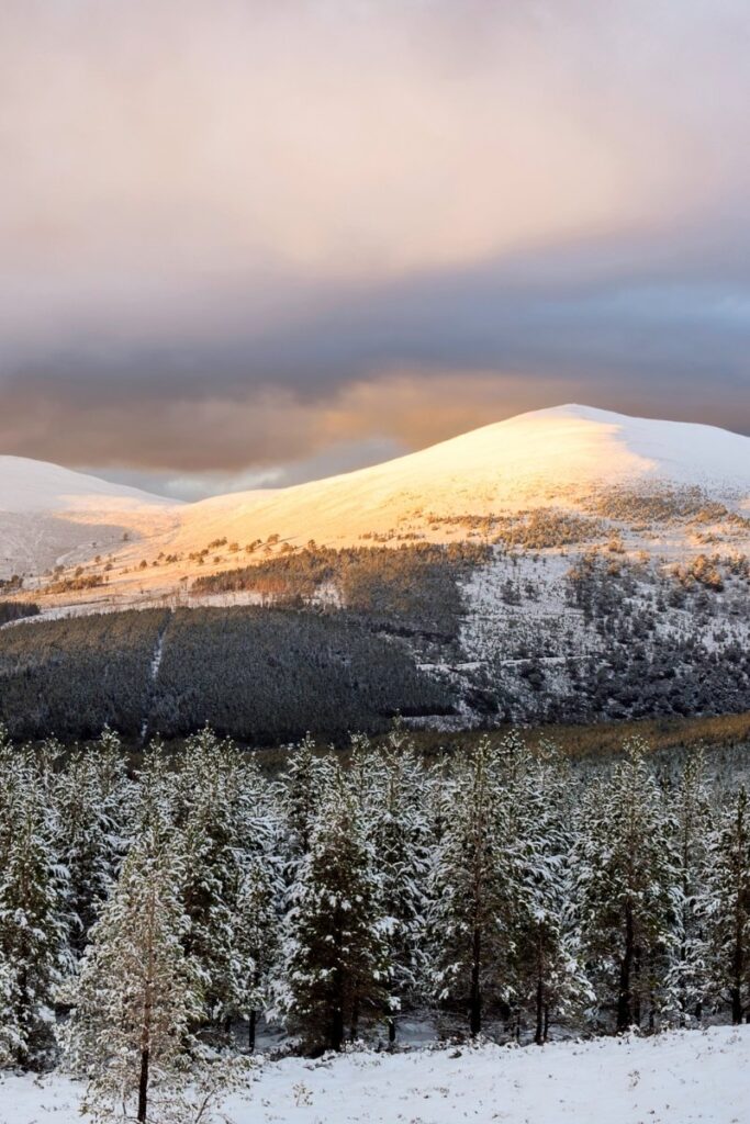 Winter in The Cairngorms