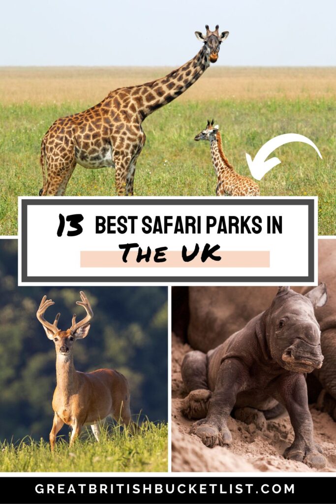 top 10 safari parks in uk