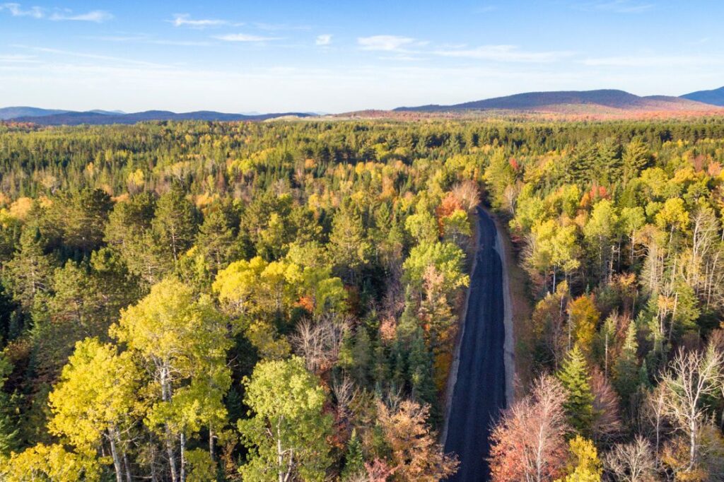 biggest forests in england