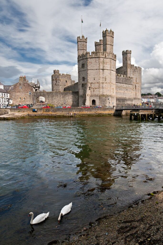 caernarfon castle