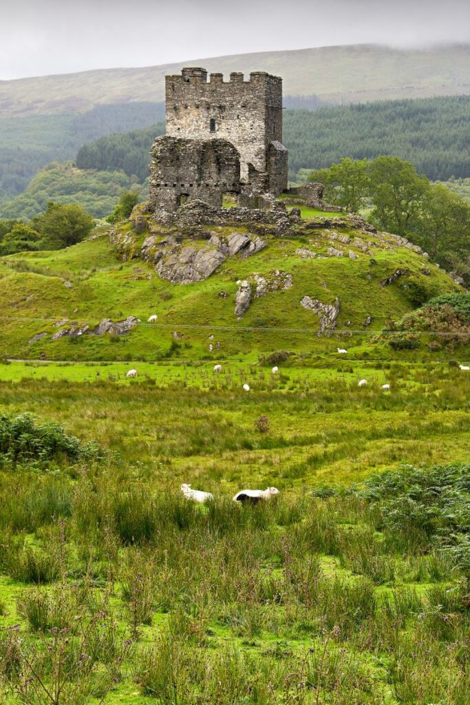 dolwyddelan castle