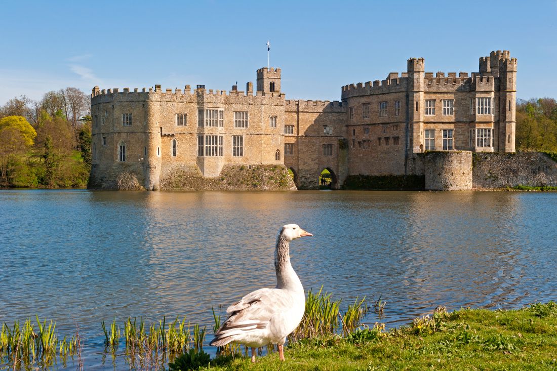 best castle hotels in the UK