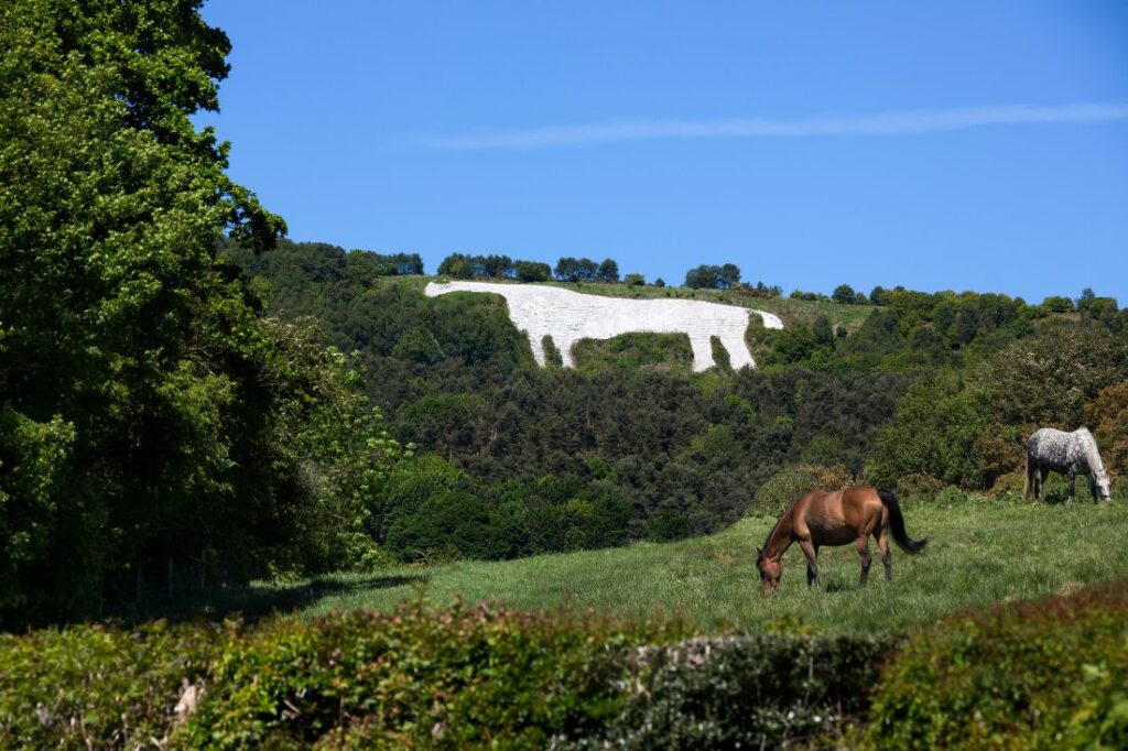 kilburn white horse