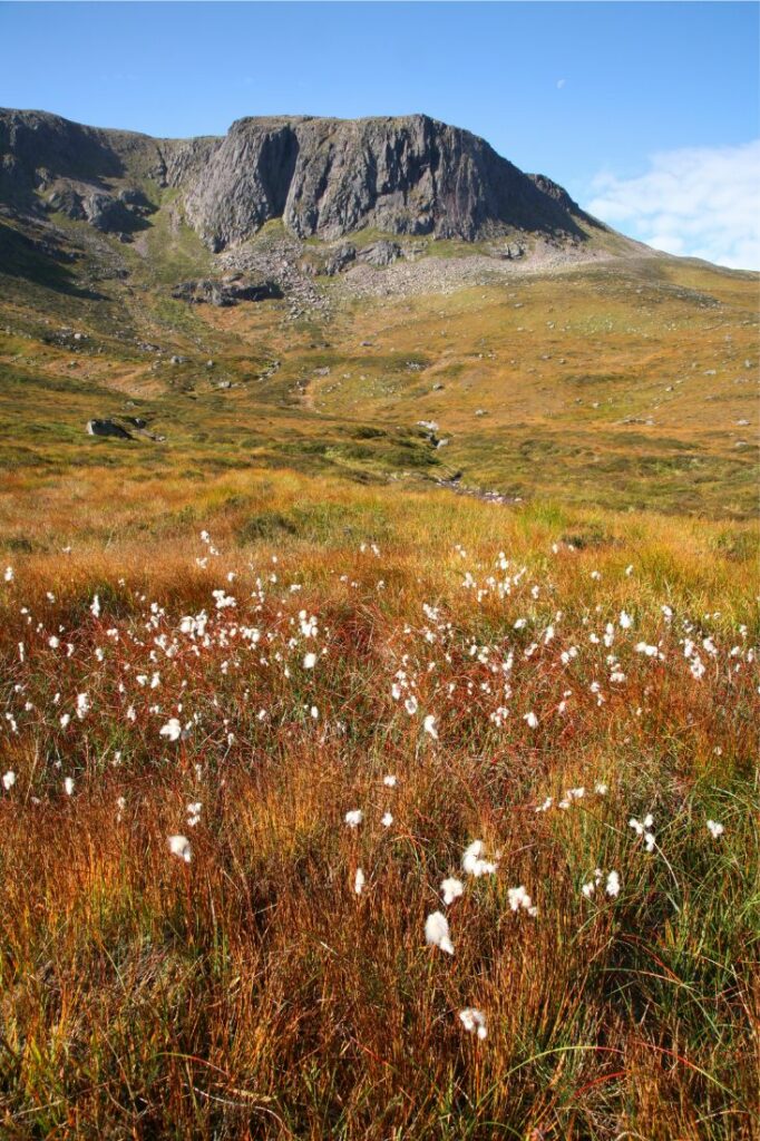 cairngorms