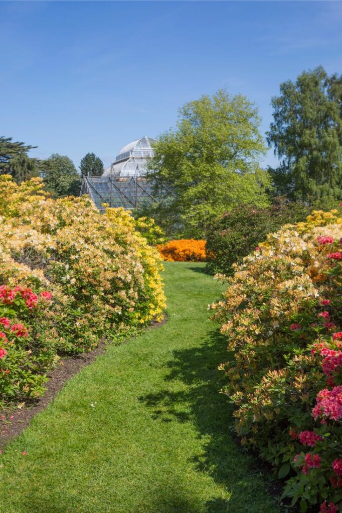 royal botanic gardens edinburgh