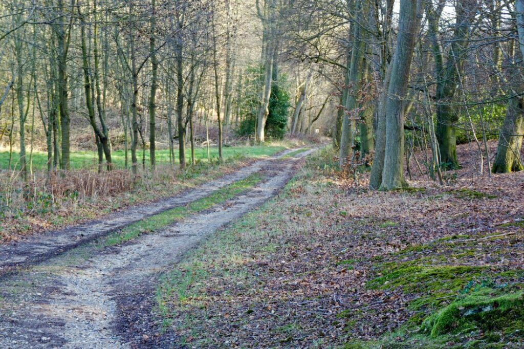 henley and warburg nature reserve