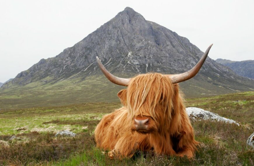 scotland in autumn