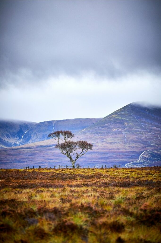 scotland in the fall