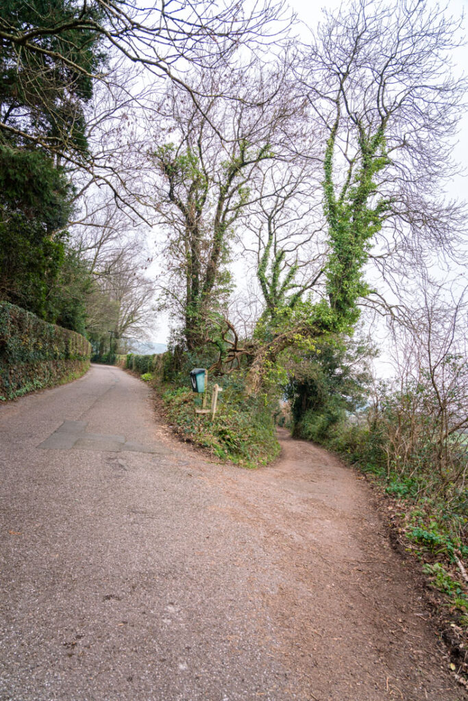 coleridge way footpath