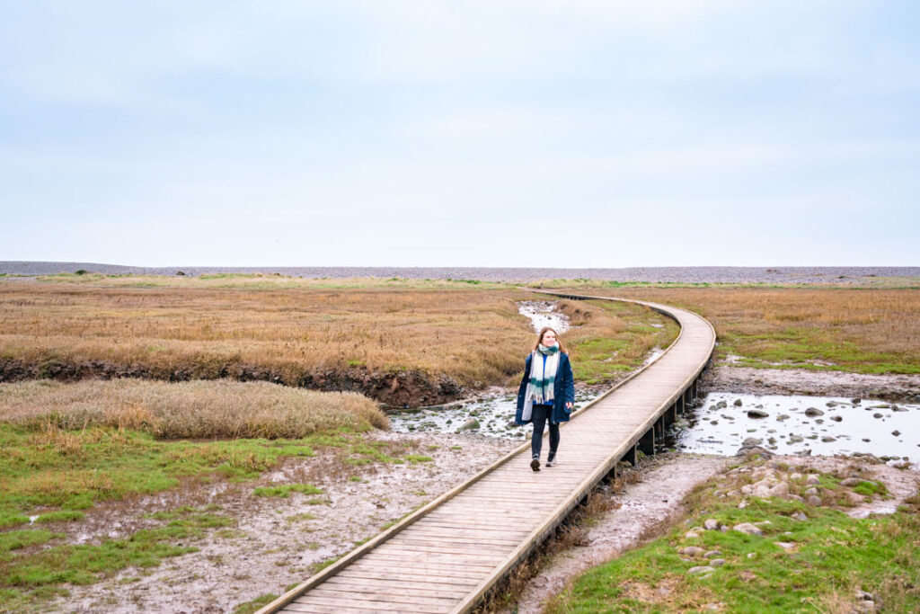 porlock to porlock weir walk