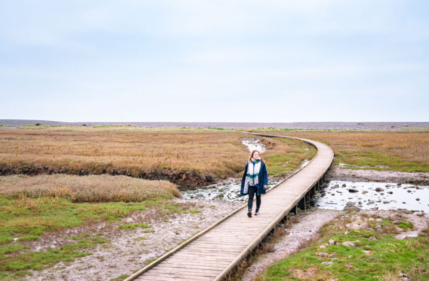 porlock to porlock weir walk